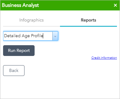 Beispiel für das Ausführen eines Berichts Beispiel für das Ausführen eines Berichts